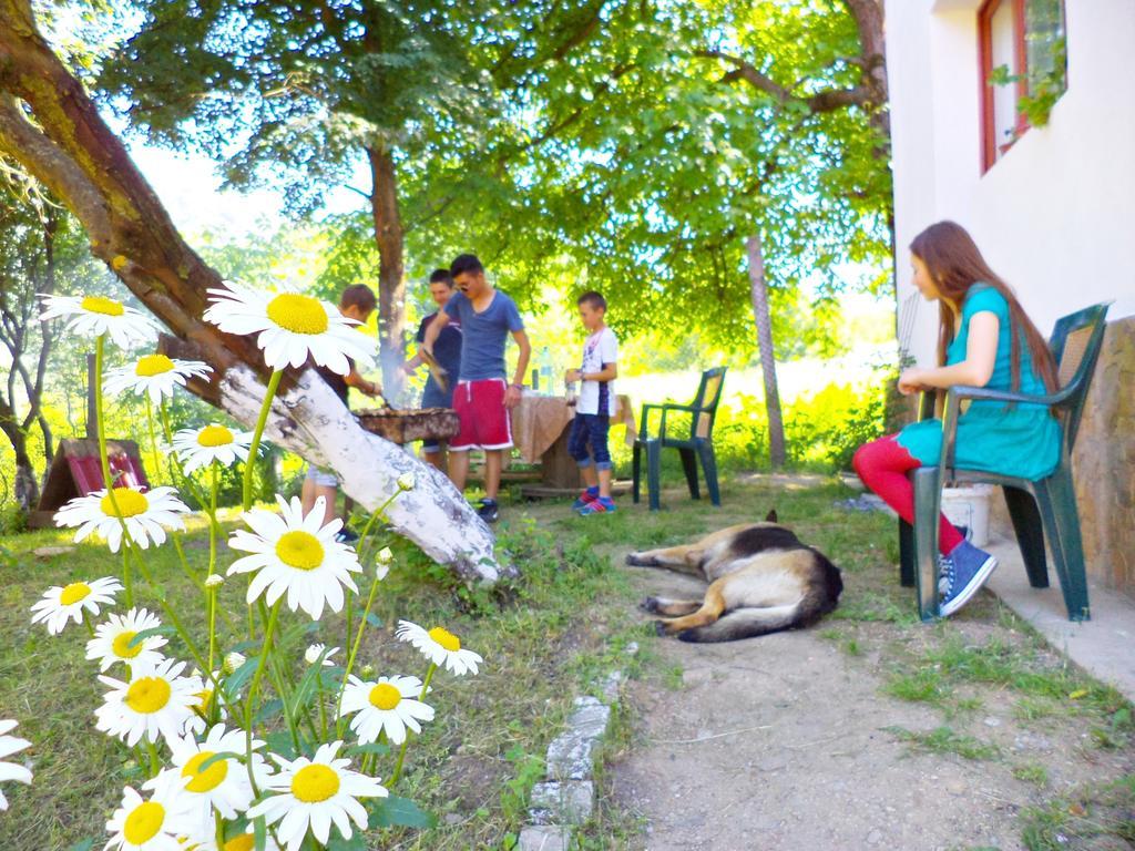 Pensiunea Valea Cernei Teliucu Inferior Zewnętrze zdjęcie